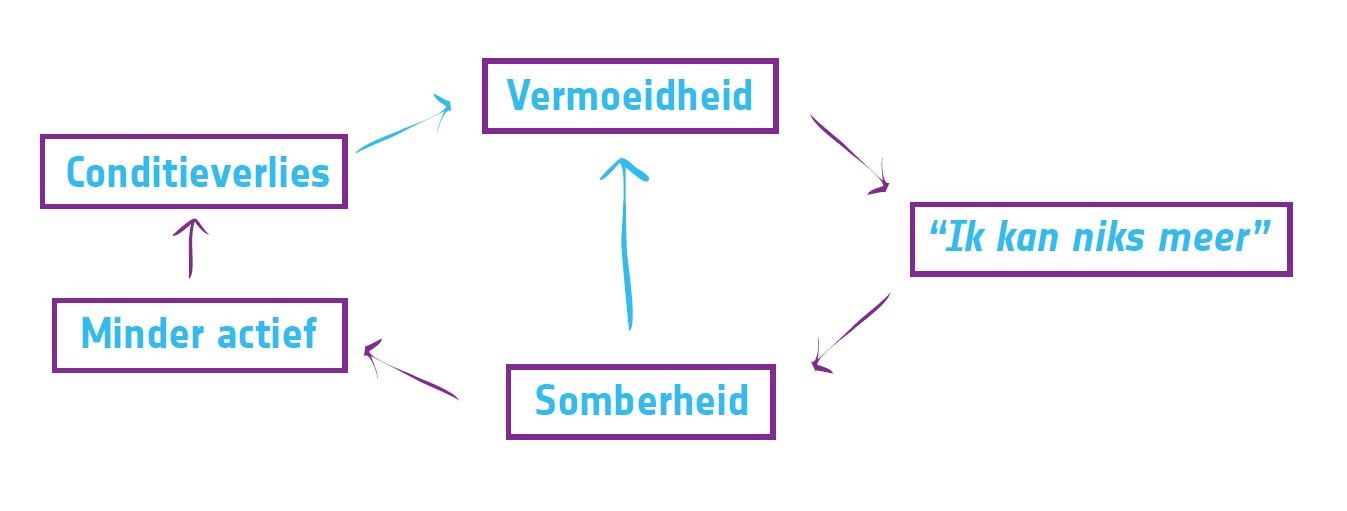 ALK schema vermoeidheid